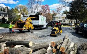 Leaf Removal in Niles, OH